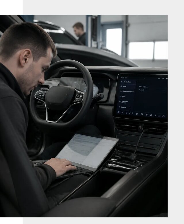 Русификация автомобилей BYD под ключ для всех моделей в Егорьевске